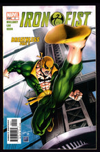 Load image into Gallery viewer, Iron Fist (2004)
