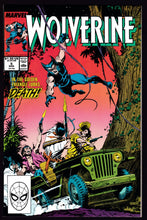 Load image into Gallery viewer, Wolverine (1988) Vol 2
