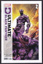 Load image into Gallery viewer, Ultimate Black Panther
