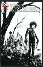 Load image into Gallery viewer, EDWARD SCISSORHANDS
