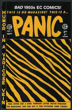 Load image into Gallery viewer, PANIC (1997)
